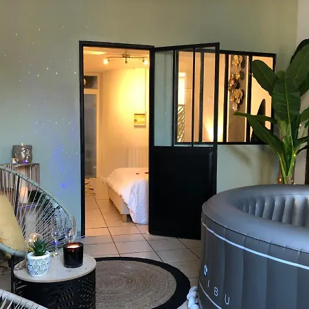 Appartement entier Jacuzzi LOVE ROOM Tarbes Tarbes