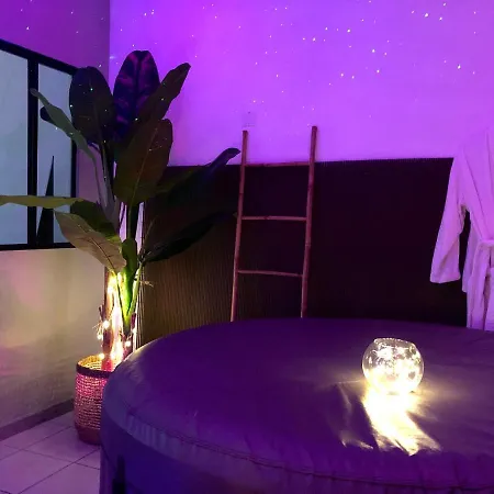 Appartement Appartement entier Jacuzzi LOVE ROOM Tarbes