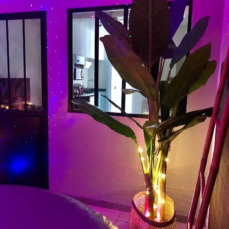 Appartement entier Jacuzzi LOVE ROOM Tarbes Appartement Tarbes